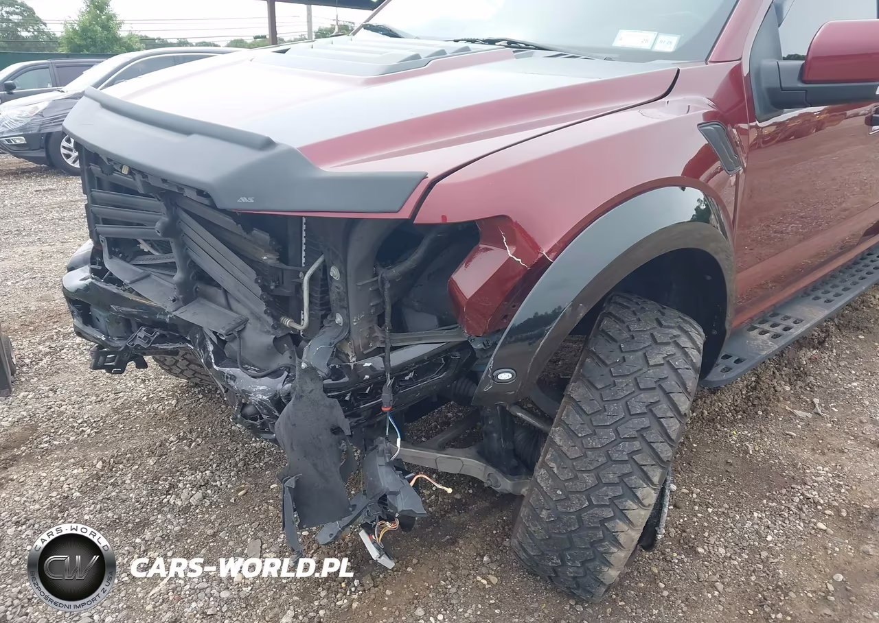 2018 Ford F-150 Raptor VIN:1FTFW1RG7JFE34266 - 6