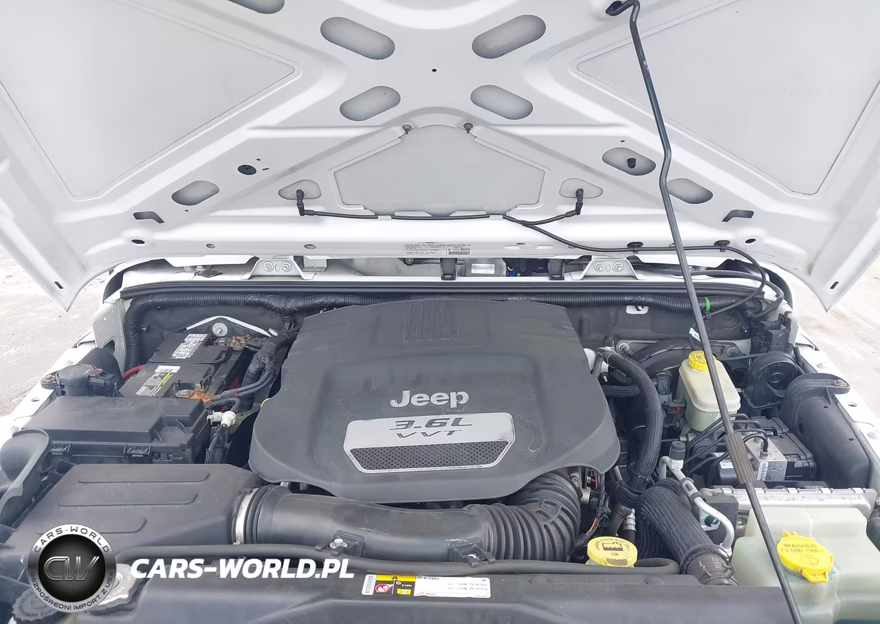 2013 Jeep Wrangler Unlimited Freedom Edition VIN:1C4BJWDG1DL586406 - 10
