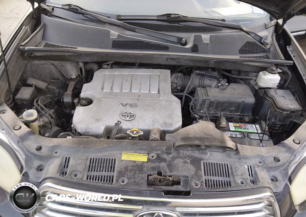 2010 Toyota Highlander Limited V6 VIN:5TDYK3EH2AS004658 - 10