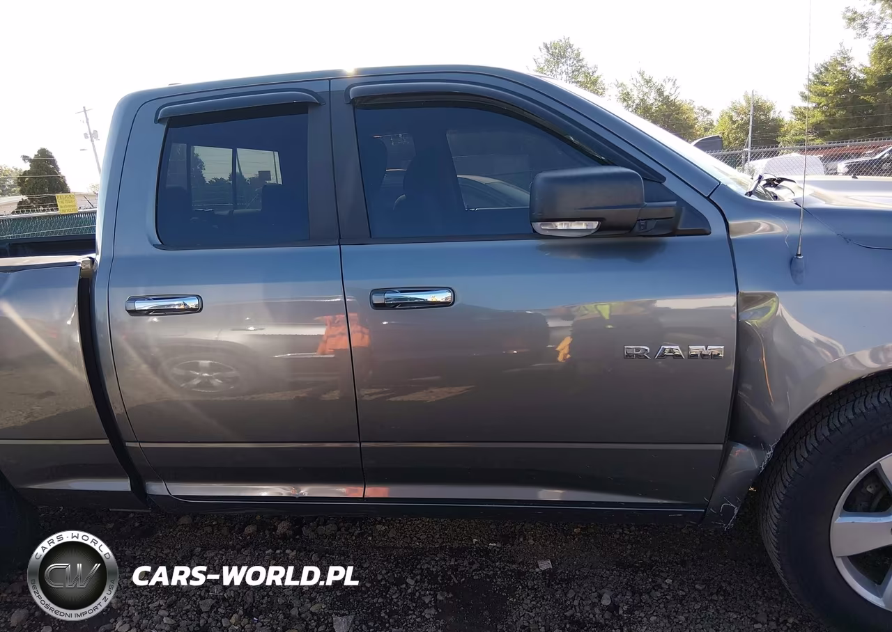 2010 Dodge Ram 1500 Slt-Sport-Trx VIN:1D7RB1GP2AS165148 - 13