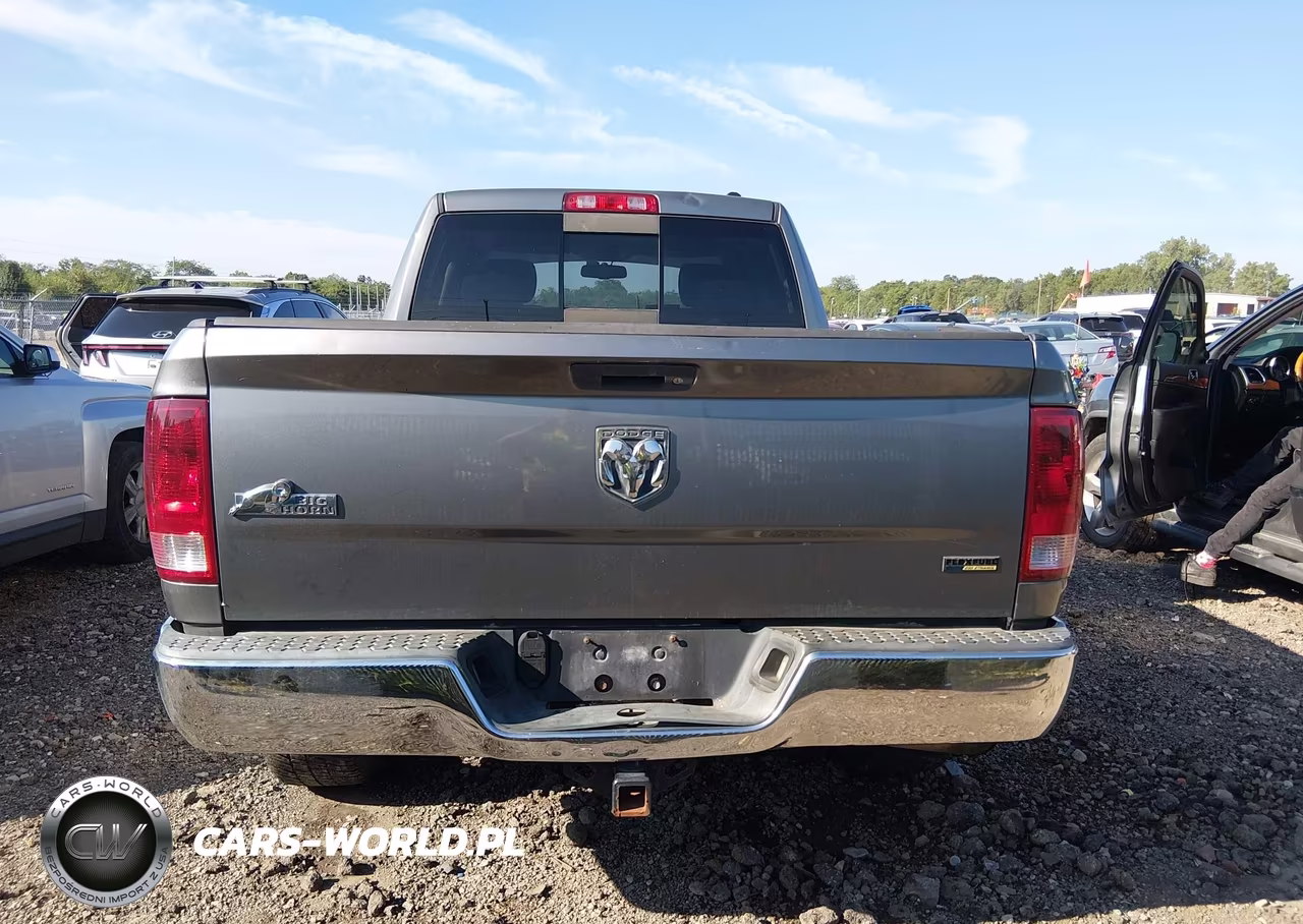 2010 Dodge Ram 1500 Slt-Sport-Trx VIN:1D7RB1GP2AS165148 - 16