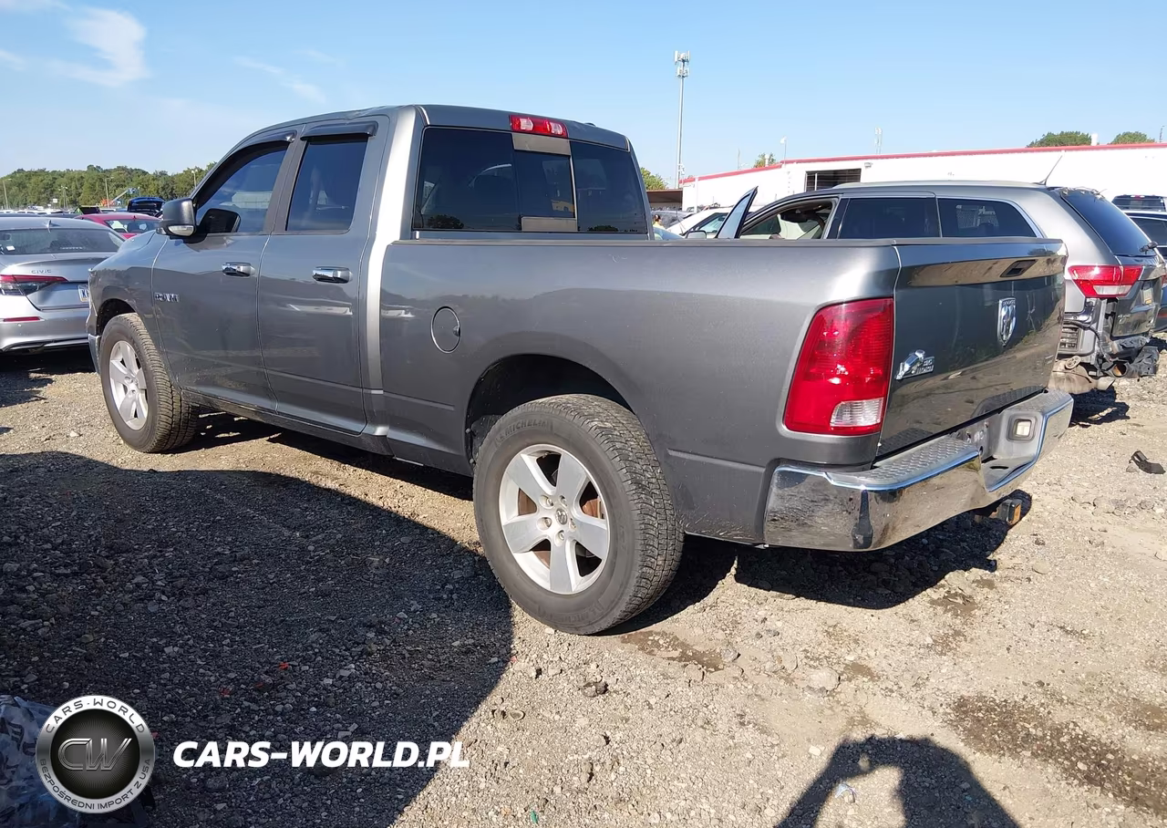 2010 Dodge Ram 1500 Slt-Sport-Trx VIN:1D7RB1GP2AS165148 - 3