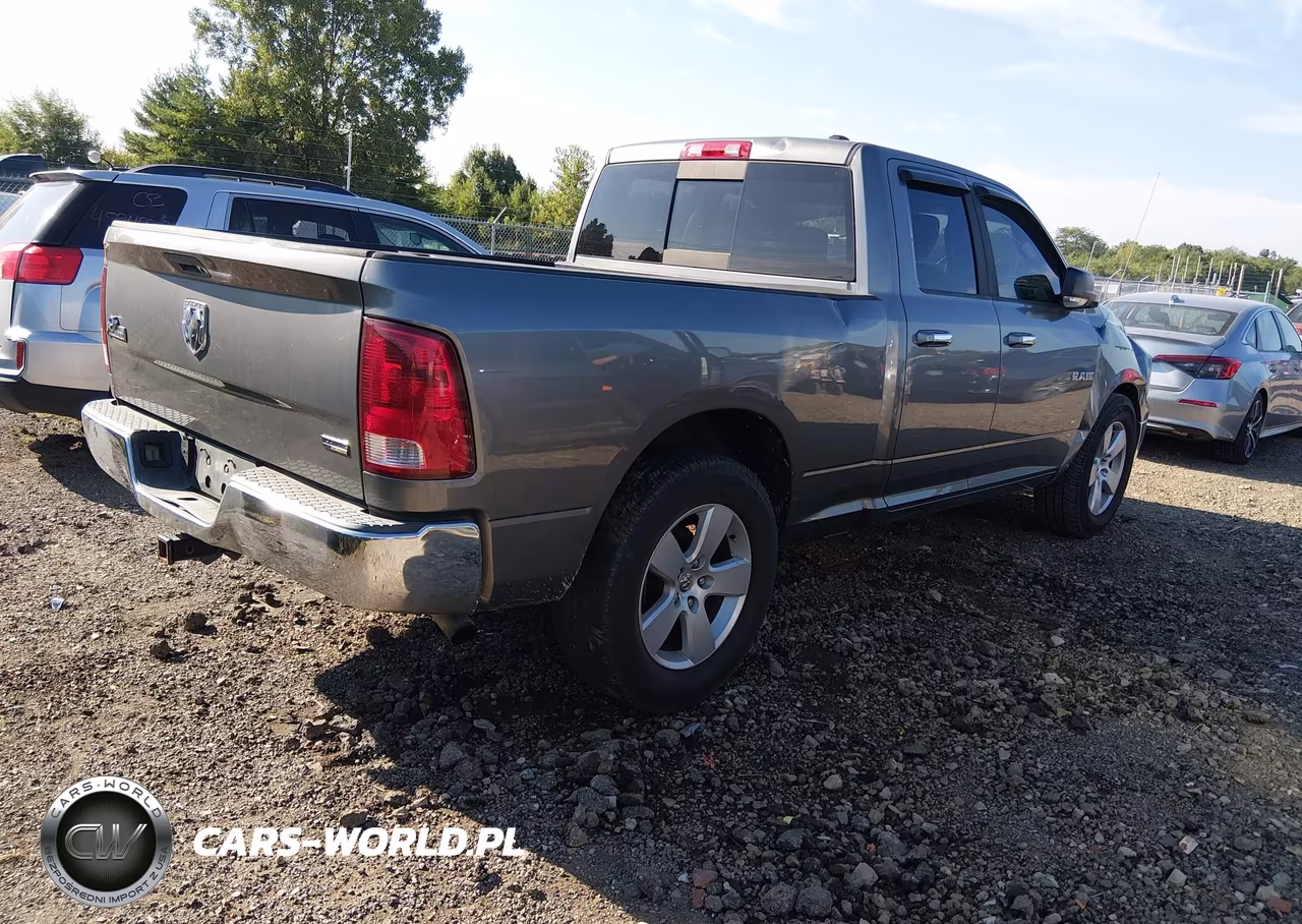 2010 Dodge Ram 1500 Slt-Sport-Trx VIN:1D7RB1GP2AS165148 - 4