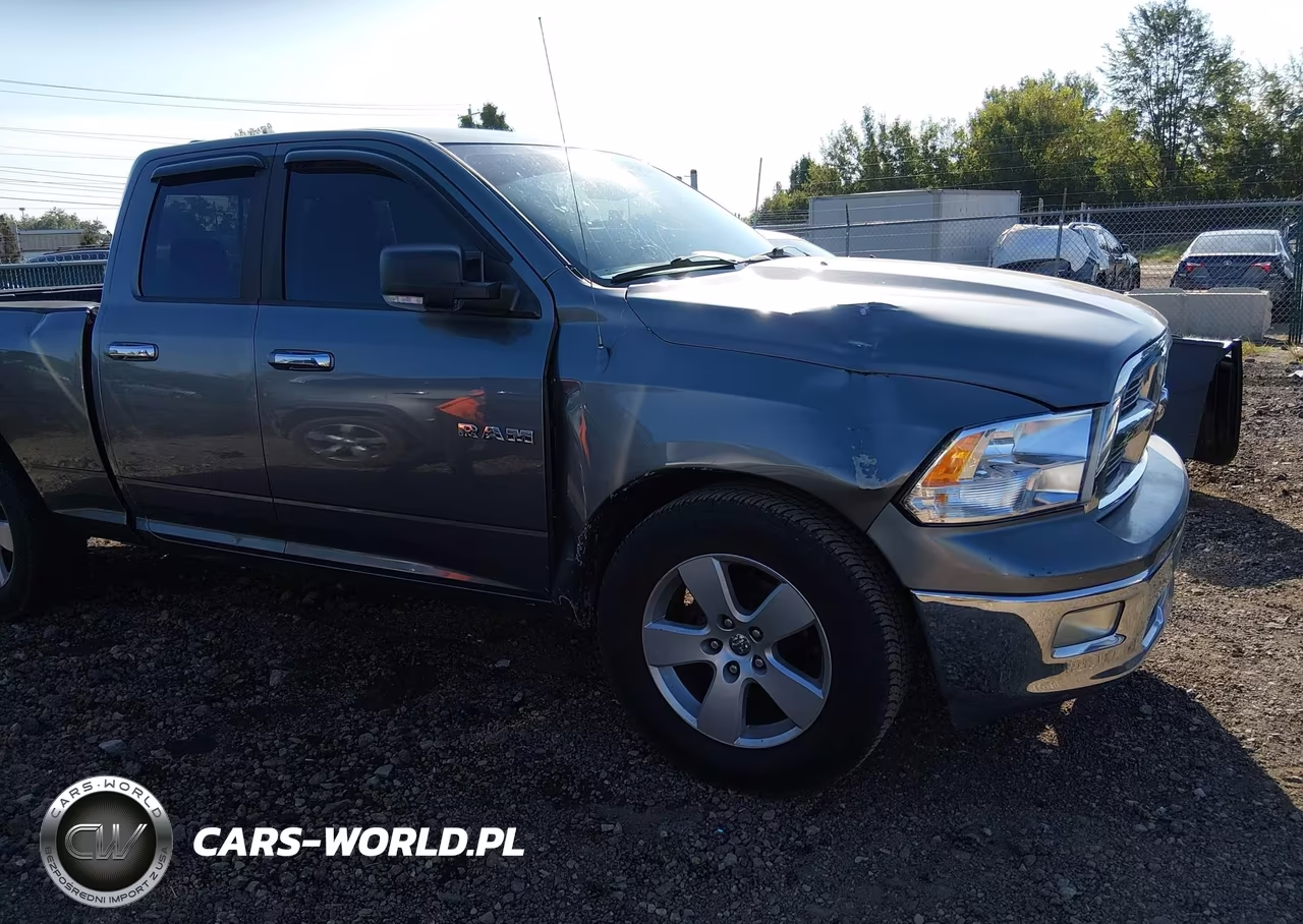 2010 Dodge Ram 1500 Slt-Sport-Trx VIN:1D7RB1GP2AS165148 - 6