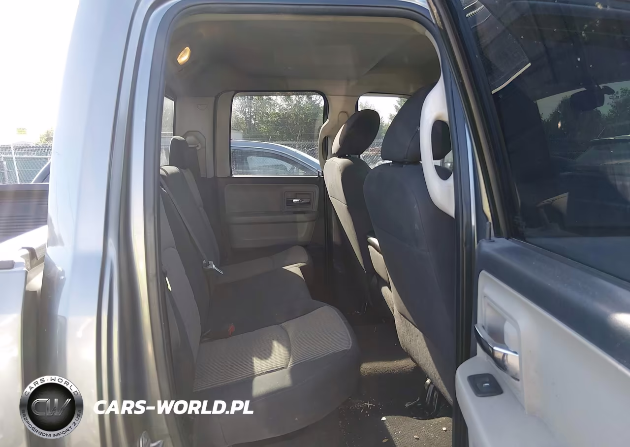 2010 Dodge Ram 1500 Slt-Sport-Trx VIN:1D7RB1GP2AS165148 - 8