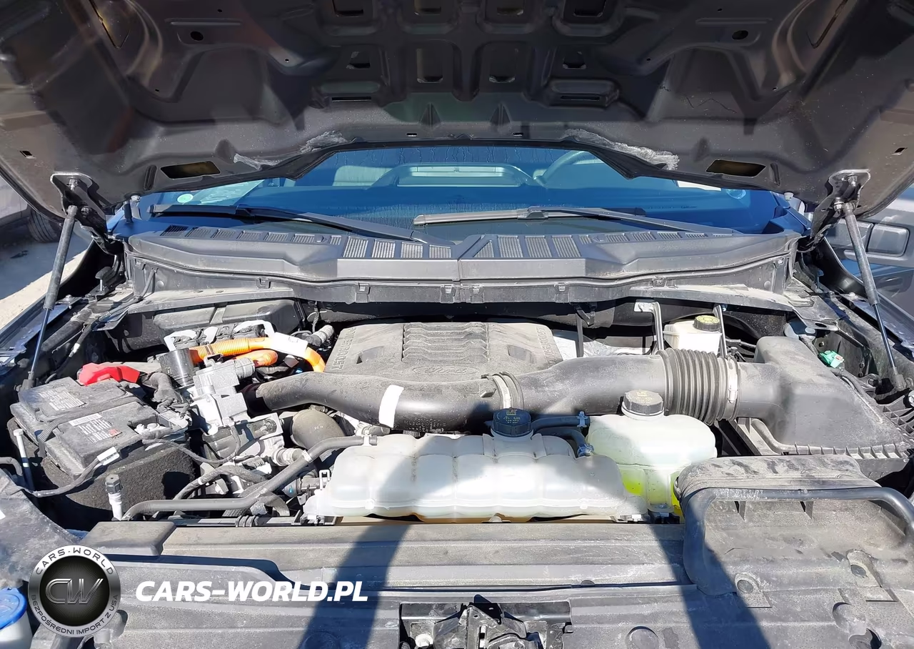 2021 Ford F-150 Xl VIN:1FTFW1ED3MFB80880 - 10