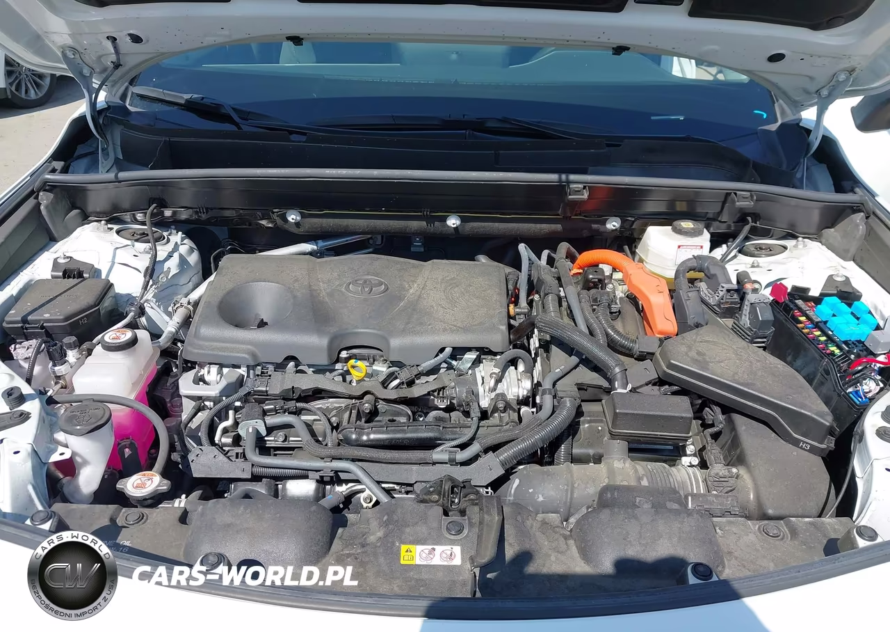 2024 Toyota Venza Le VIN:JTEAAAAH9RJ189469 - 10