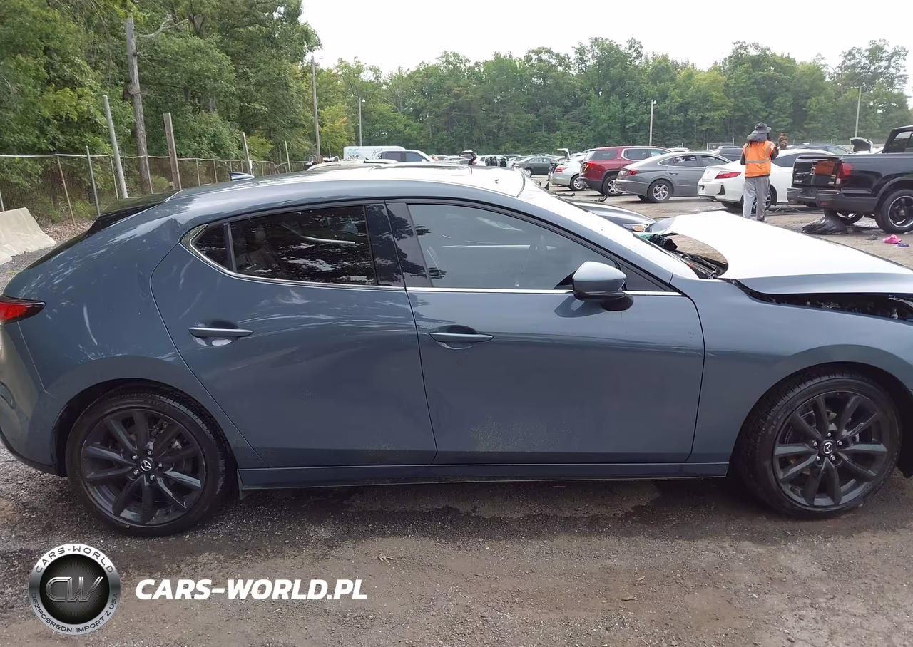 2021 Mazda Mazda3 VIN:JM1BPAML3M1335235 - 13