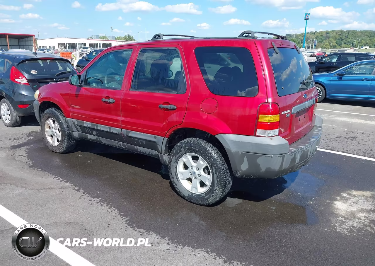 2006 Ford Escape Xlt VIN:1FMCU93Z06KA60577 - 3