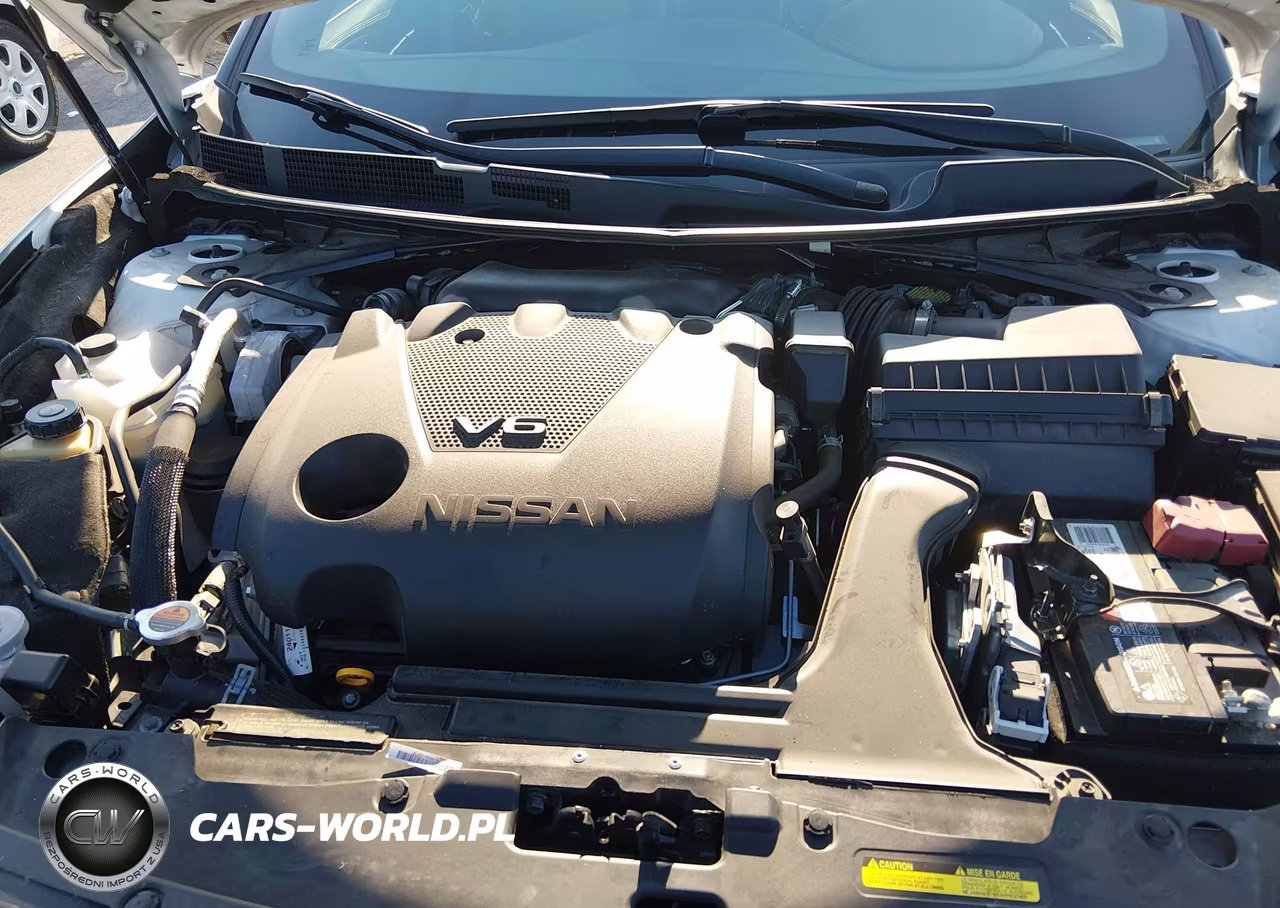 2020 Nissan Maxima Sr Xtronic Cvt VIN:1N4AA6EV4LC377836 - 10