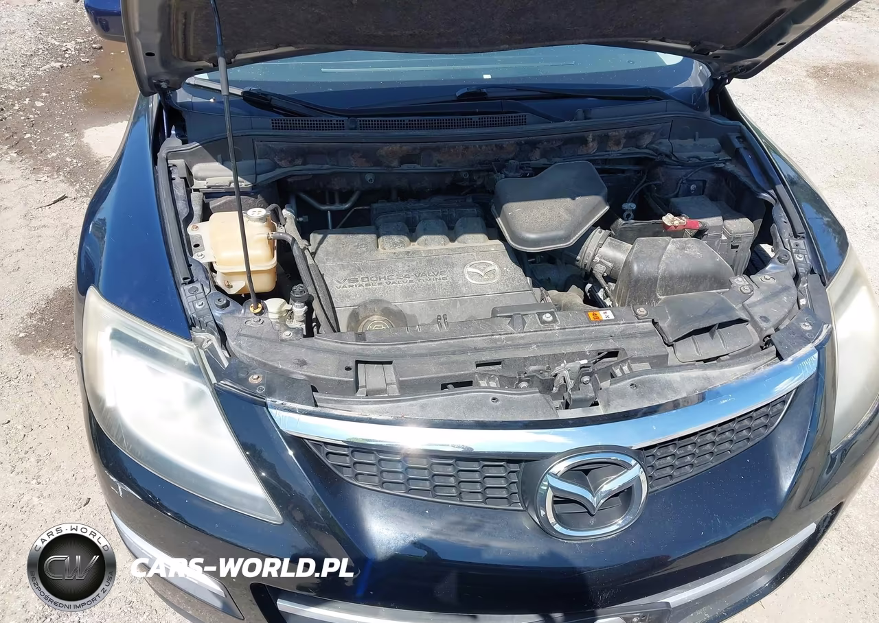 2009 Mazda Cx-9 Touring VIN:JM3TB38V590179407 - 10