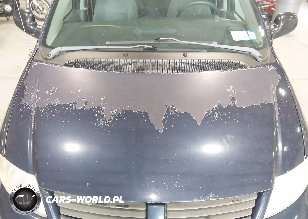 2006 Dodge Grand Caravan Se VIN:1D4GP24R36B673959 - 13