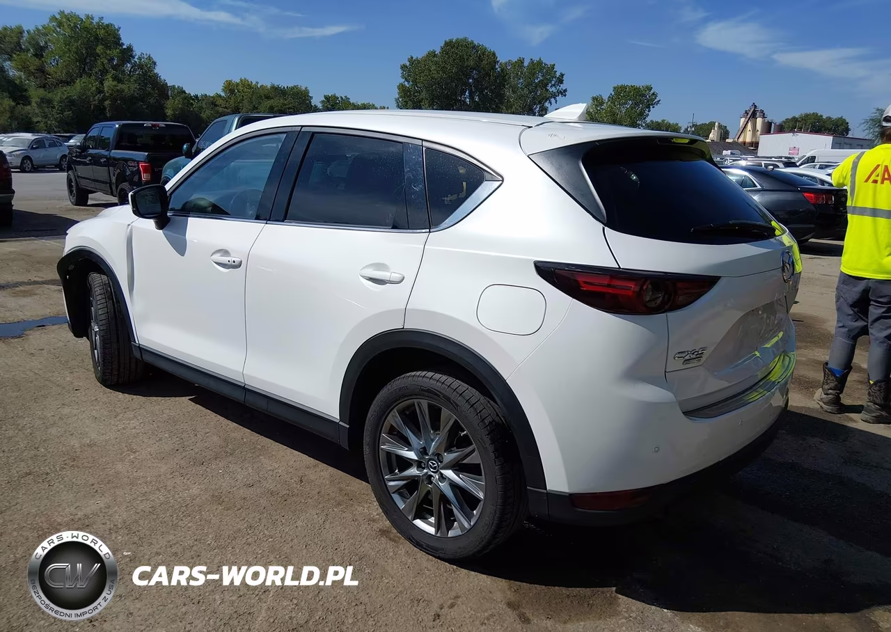 2019 Mazda Cx-5 Signature VIN:JM3KFBEY5K0595102 - 3
