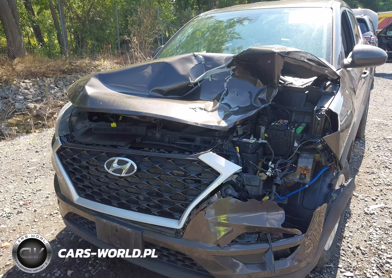 2019 Hyundai Tucson Se VIN:KM8J2CA46KU020990 - 6