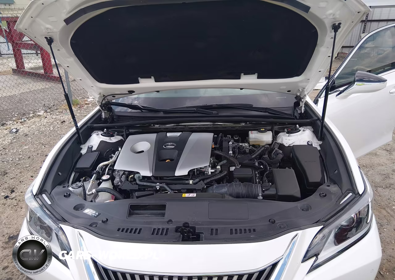 2021 Lexus Es 300H VIN:58ADA1C12MU011125 - 10