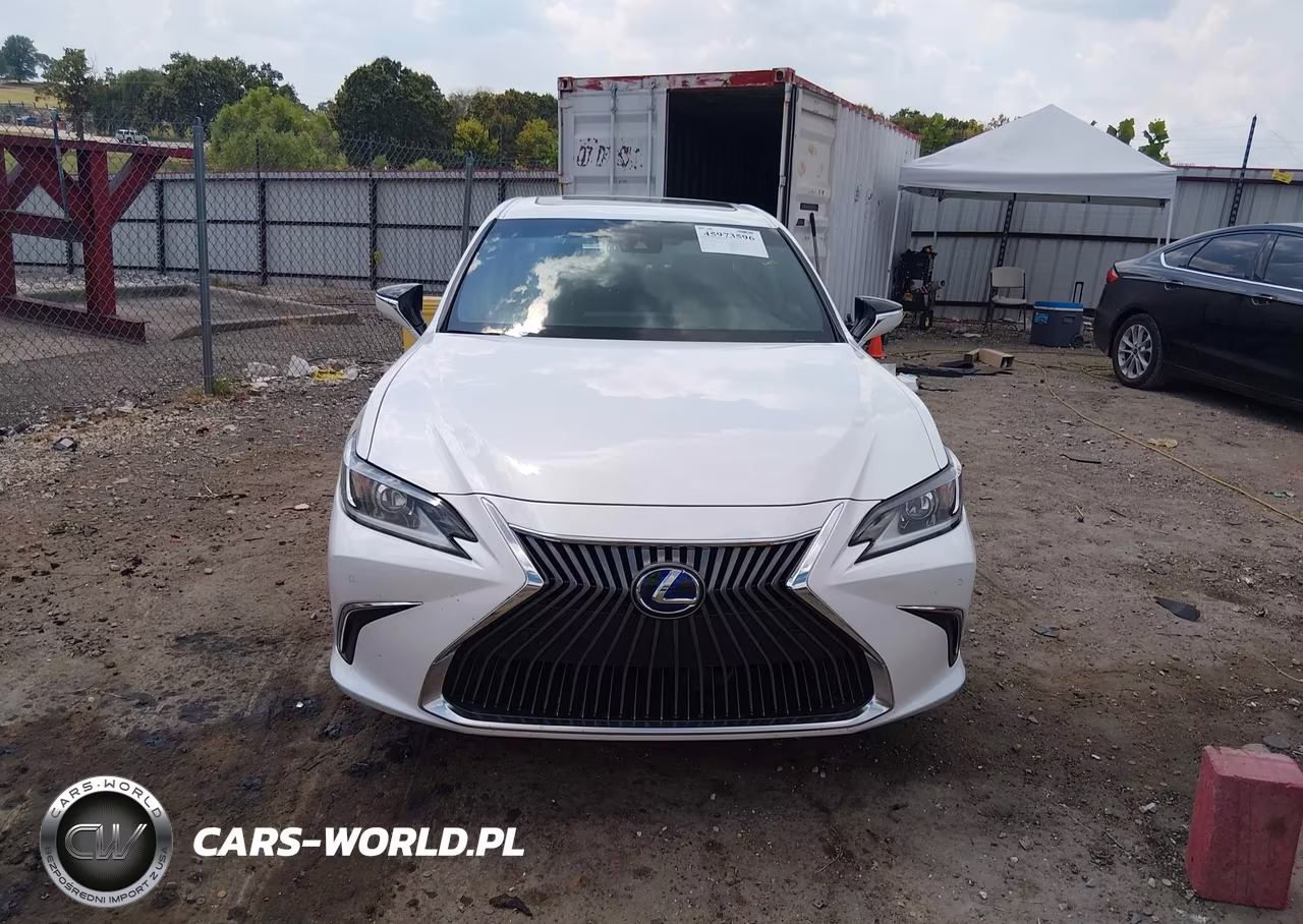 2021 Lexus Es 300H VIN:58ADA1C12MU011125 - 12