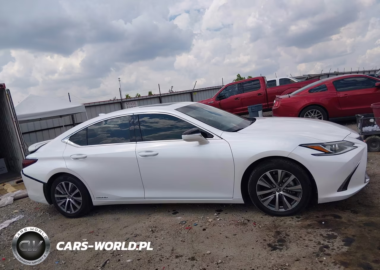 2021 Lexus Es 300H VIN:58ADA1C12MU011125 - 13