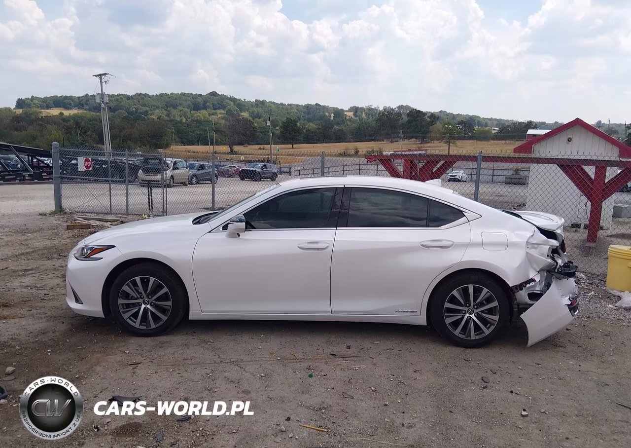 2021 Lexus Es 300H VIN:58ADA1C12MU011125 - 14