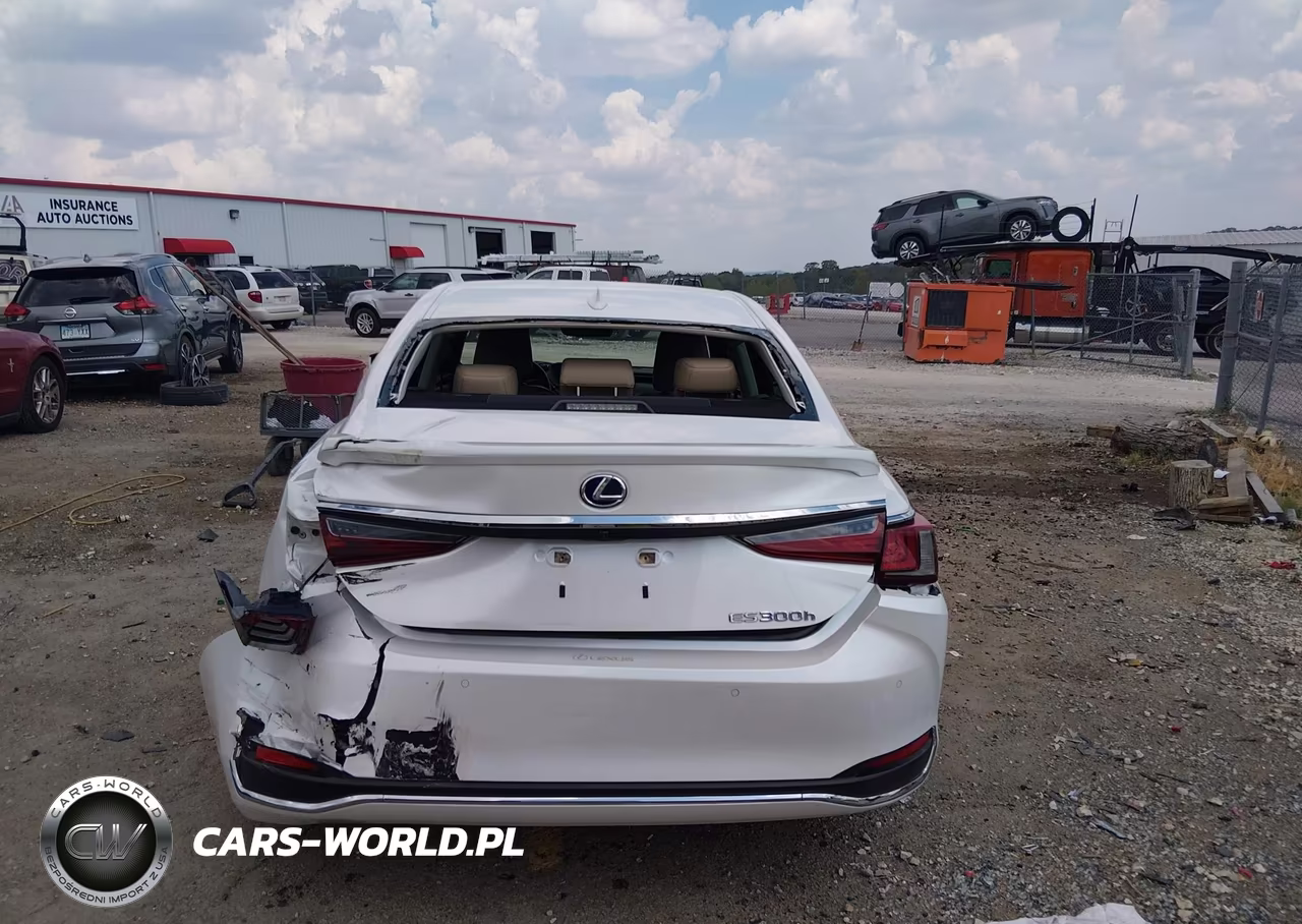 2021 Lexus Es 300H VIN:58ADA1C12MU011125 - 16