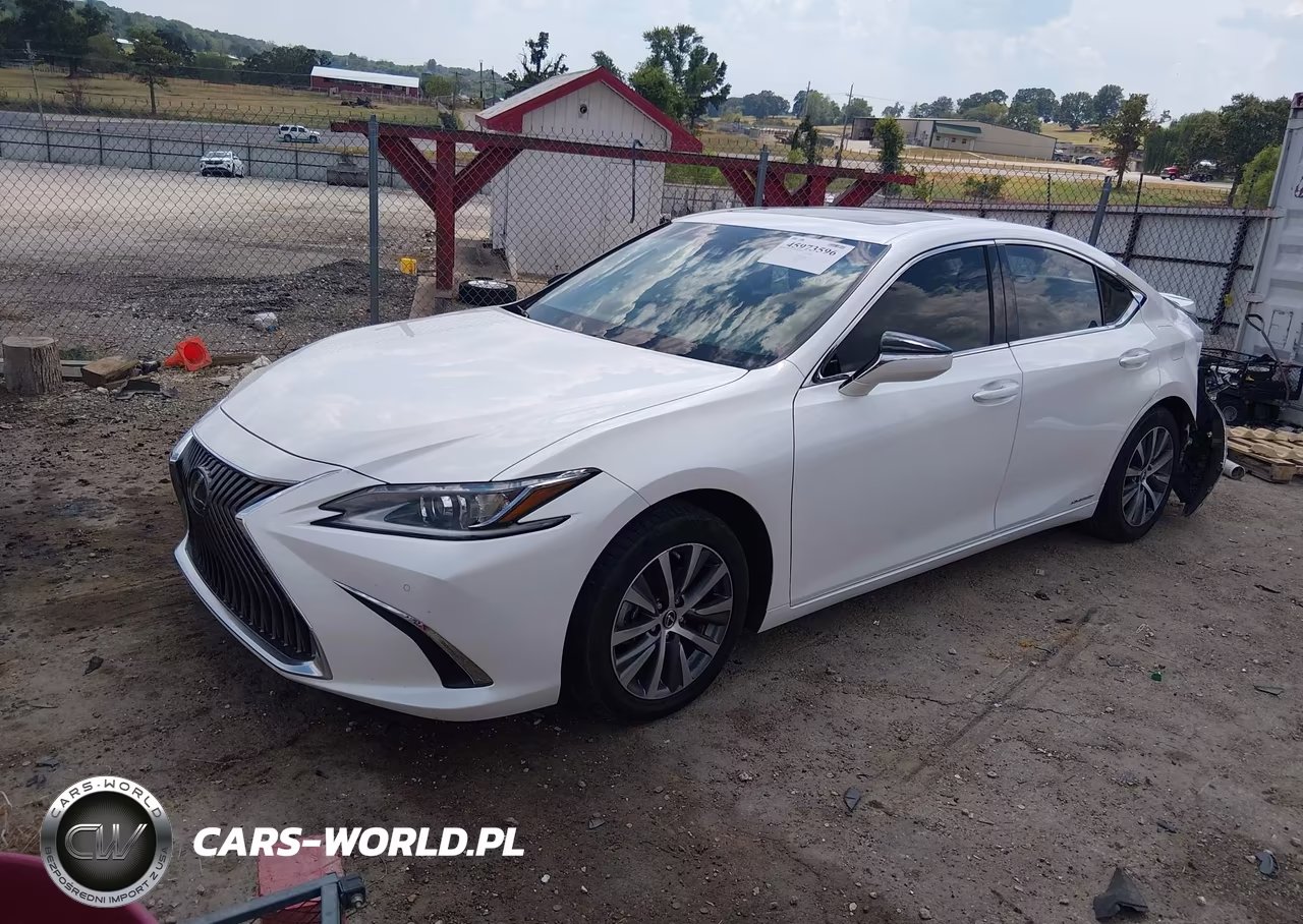2021 Lexus Es 300H VIN:58ADA1C12MU011125 - 2