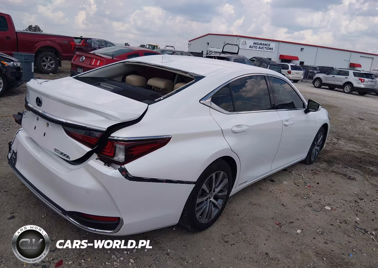 2021 Lexus Es 300H VIN:58ADA1C12MU011125 - 4