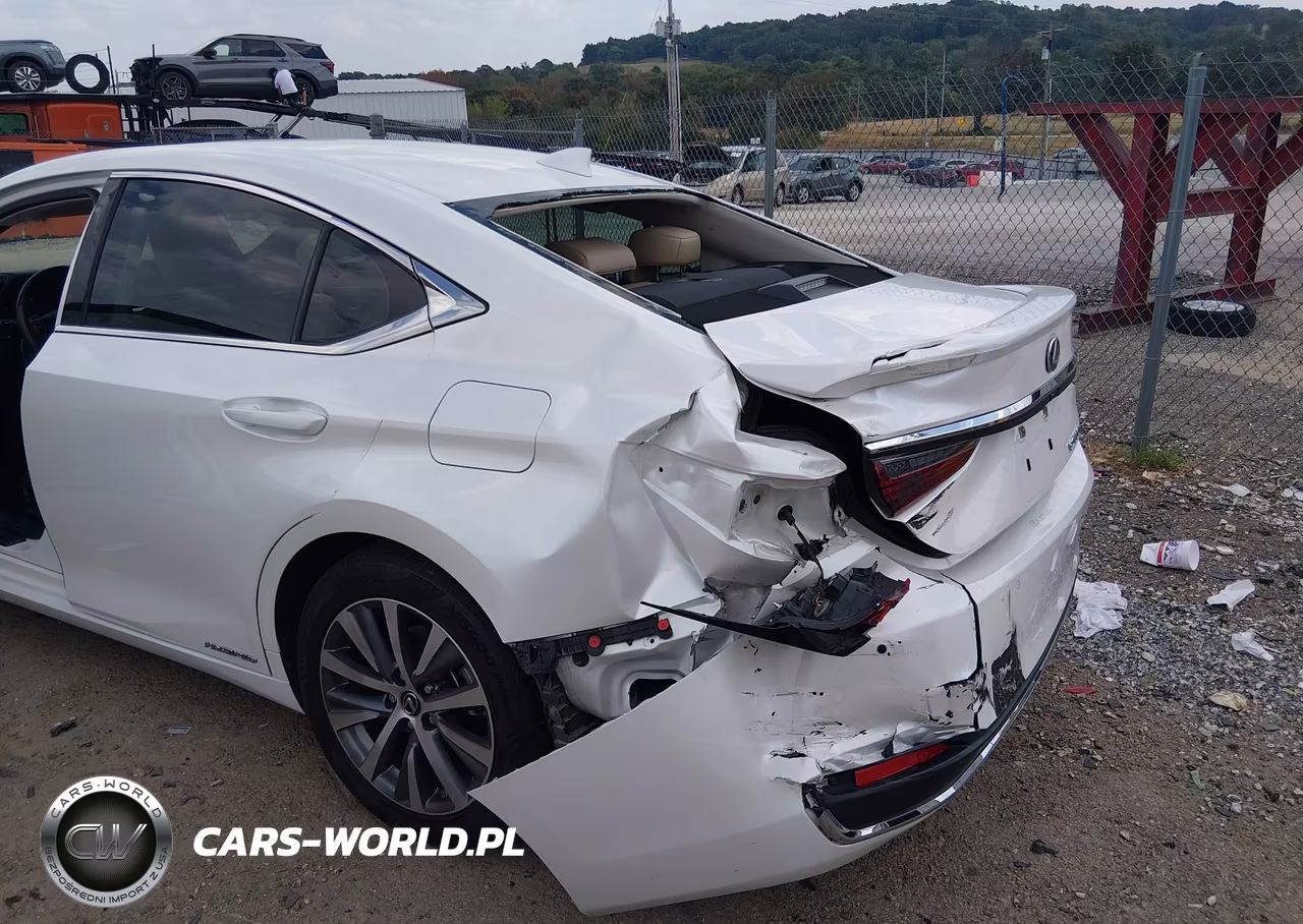 2021 Lexus Es 300H VIN:58ADA1C12MU011125 - 6