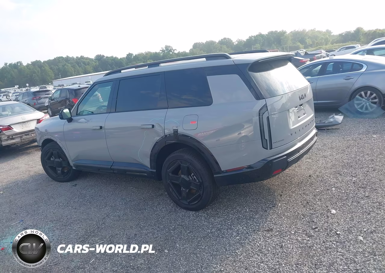 2027 Kia Telluride X-Line Ex VIN:5XYPCES19VG019754 - 14