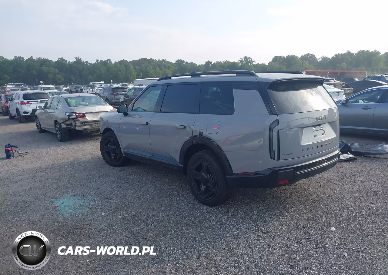 2027 Kia Telluride X-Line Ex VIN:5XYPCES19VG019754 - 3