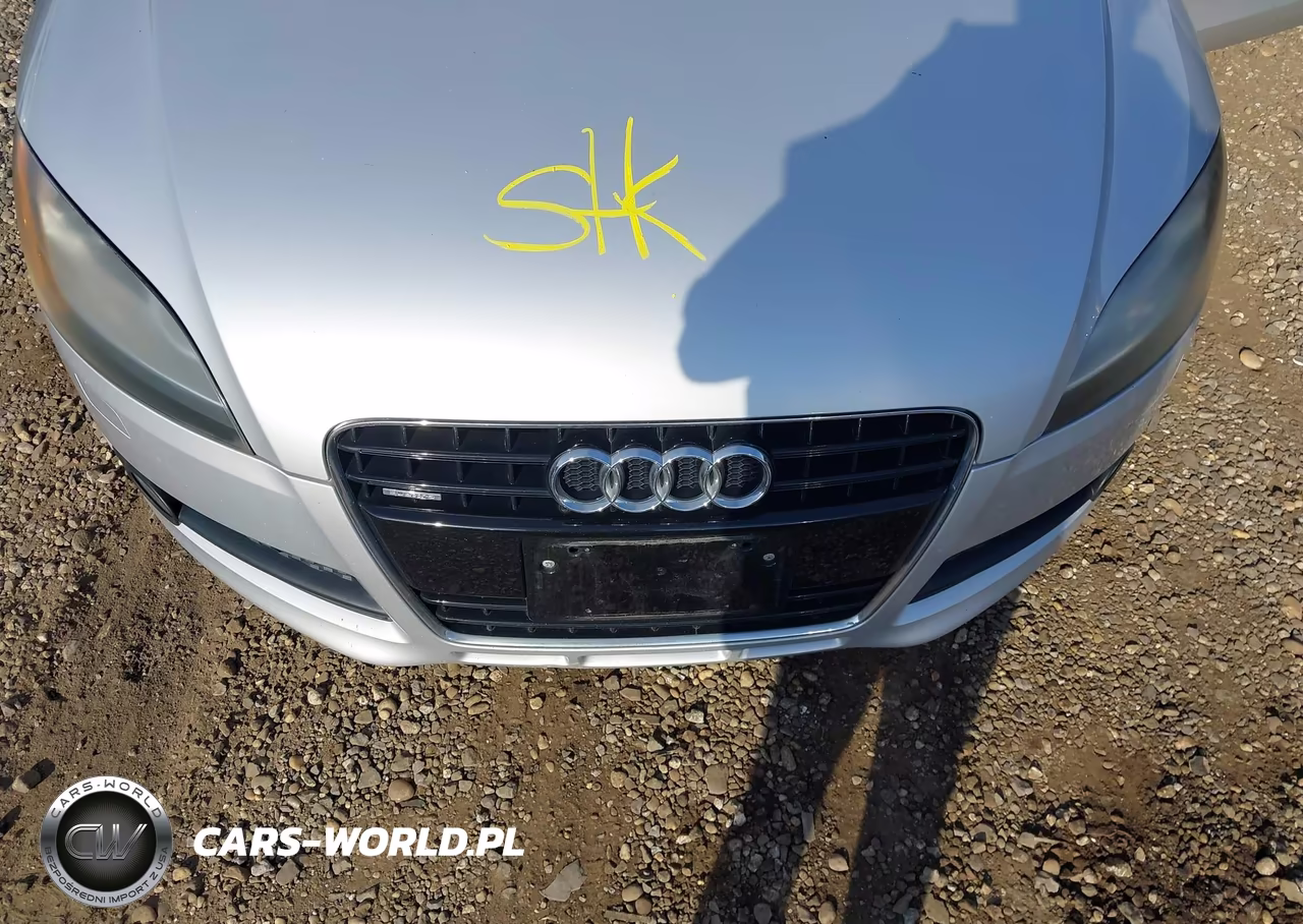 2008 Audi Tt 3.2 VIN:TRUDD38J781024487 - 10