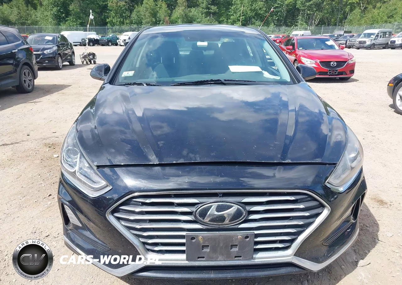 2019 Hyundai Sonata Se VIN:5NPE24AF2KH742819 - 12
