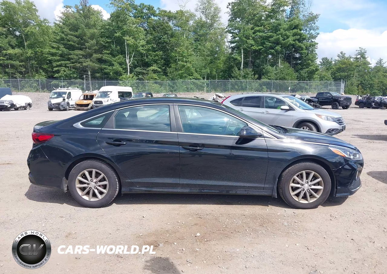 2019 Hyundai Sonata Se VIN:5NPE24AF2KH742819 - 13