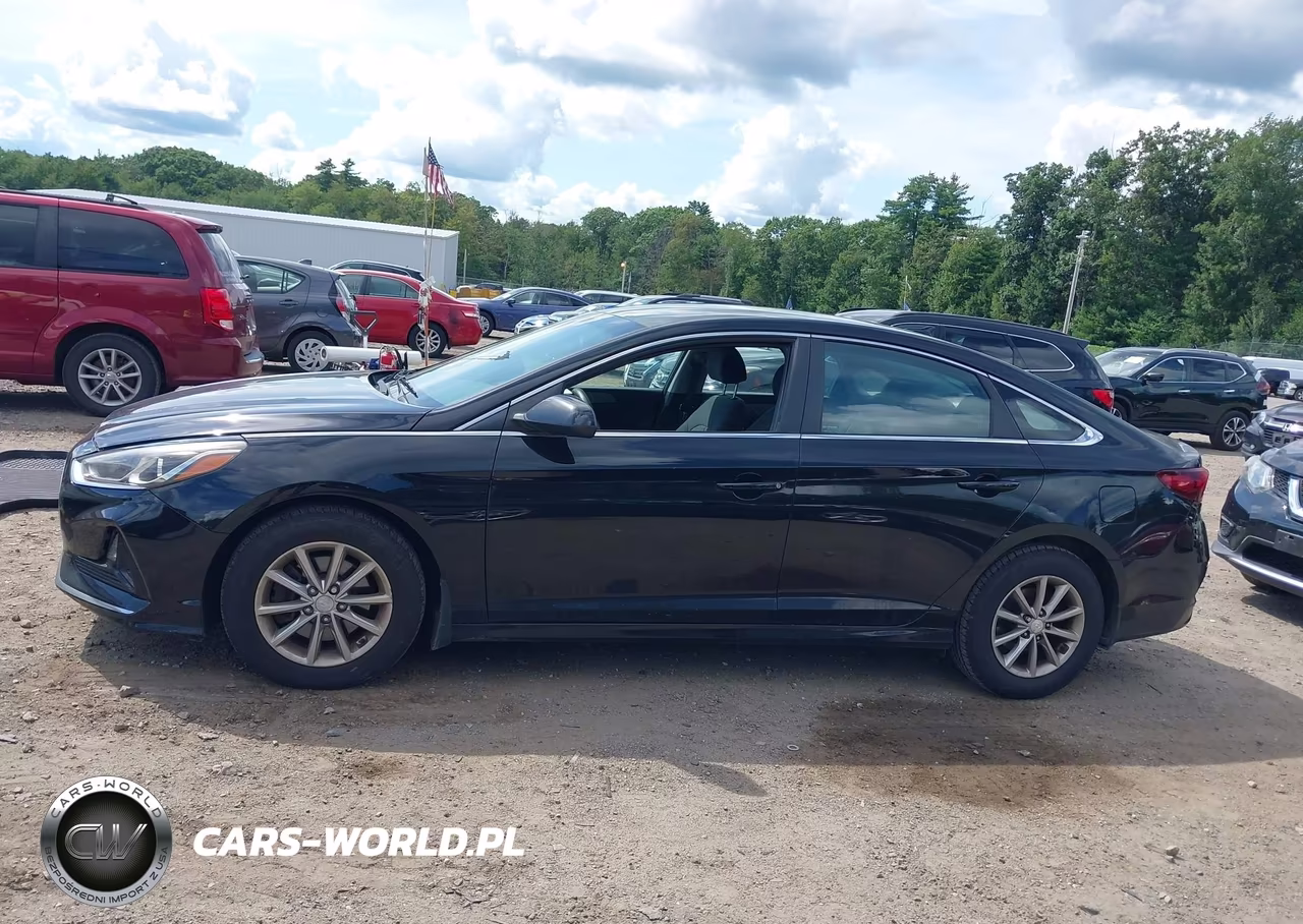 2019 Hyundai Sonata Se VIN:5NPE24AF2KH742819 - 14
