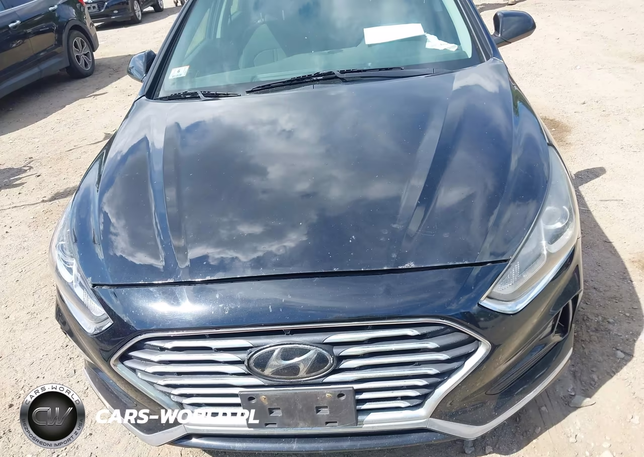 2019 Hyundai Sonata Se VIN:5NPE24AF2KH742819 - 17