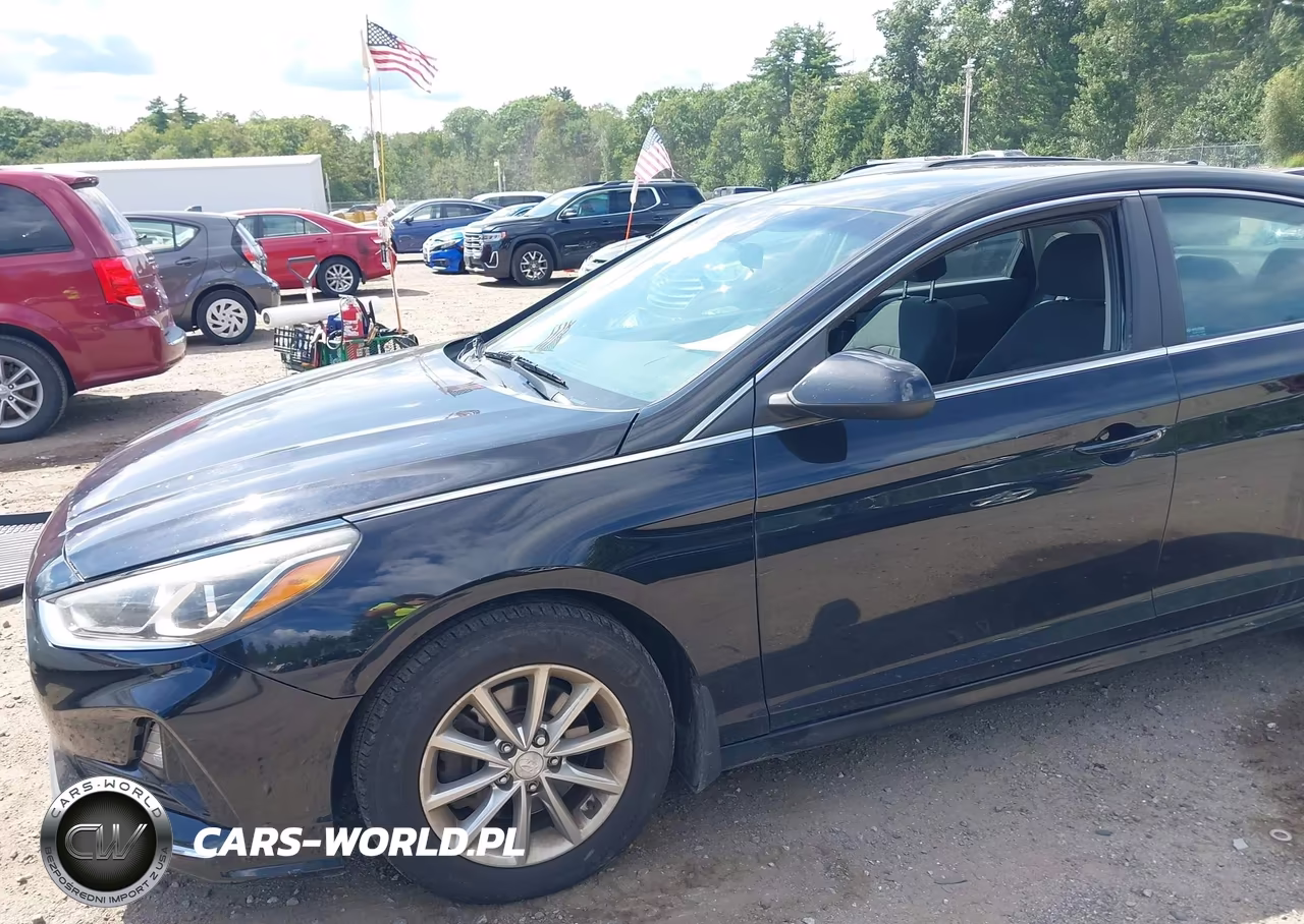 2019 Hyundai Sonata Se VIN:5NPE24AF2KH742819 - 18