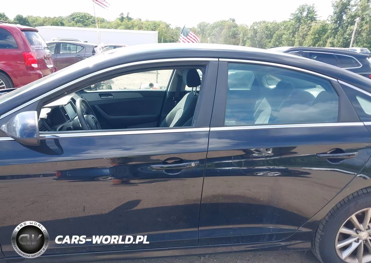 2019 Hyundai Sonata Se VIN:5NPE24AF2KH742819 - 19