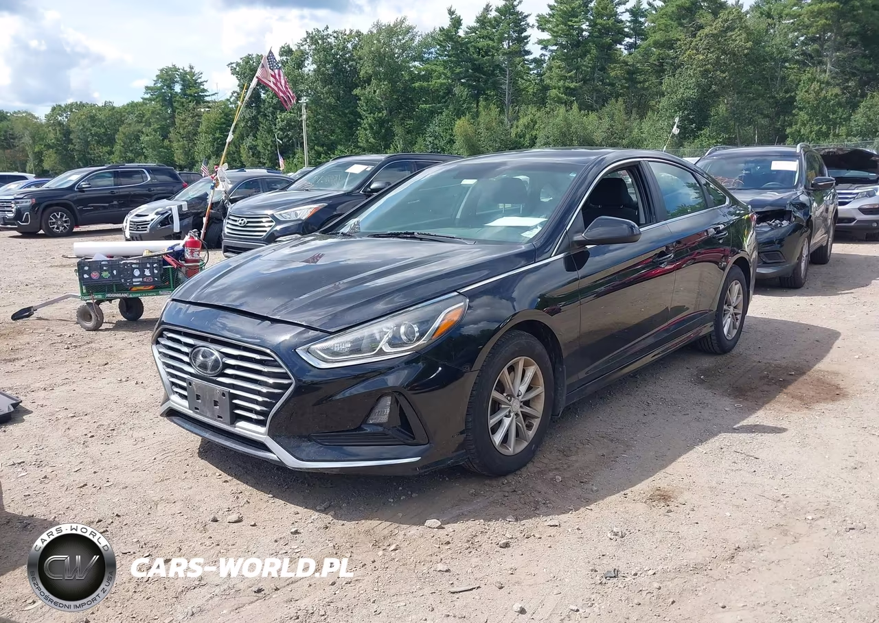 2019 Hyundai Sonata Se VIN:5NPE24AF2KH742819 - 2