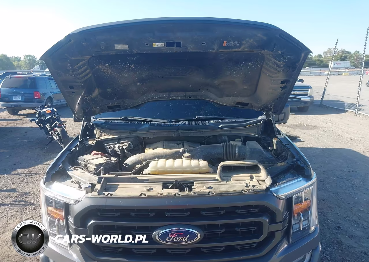 2021 Ford F-150 Xlt VIN:1FTFW1E83MFA32487 - 10