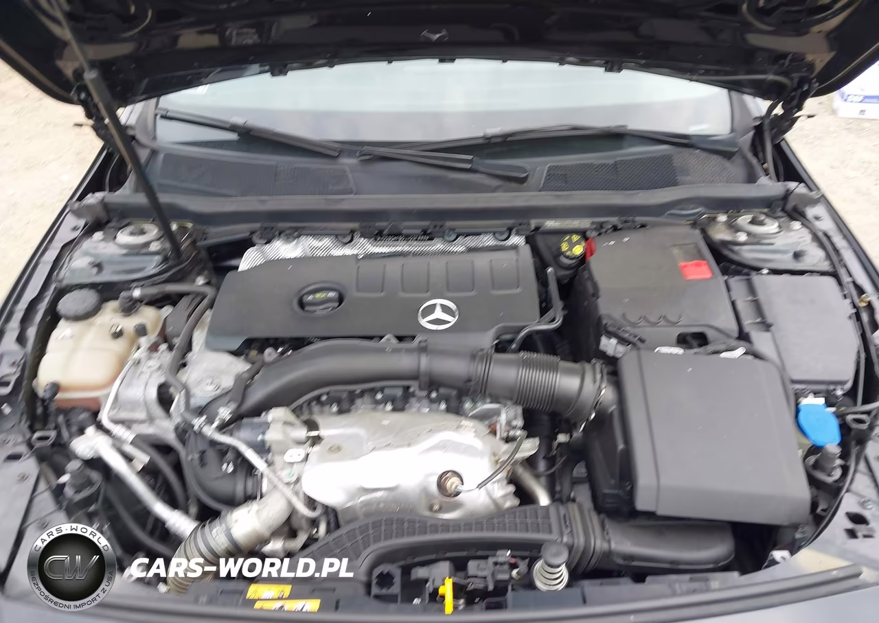 2020 Mercedes-Benz A 220 4Matic VIN:WDD3G4FB0LW037999 - 10