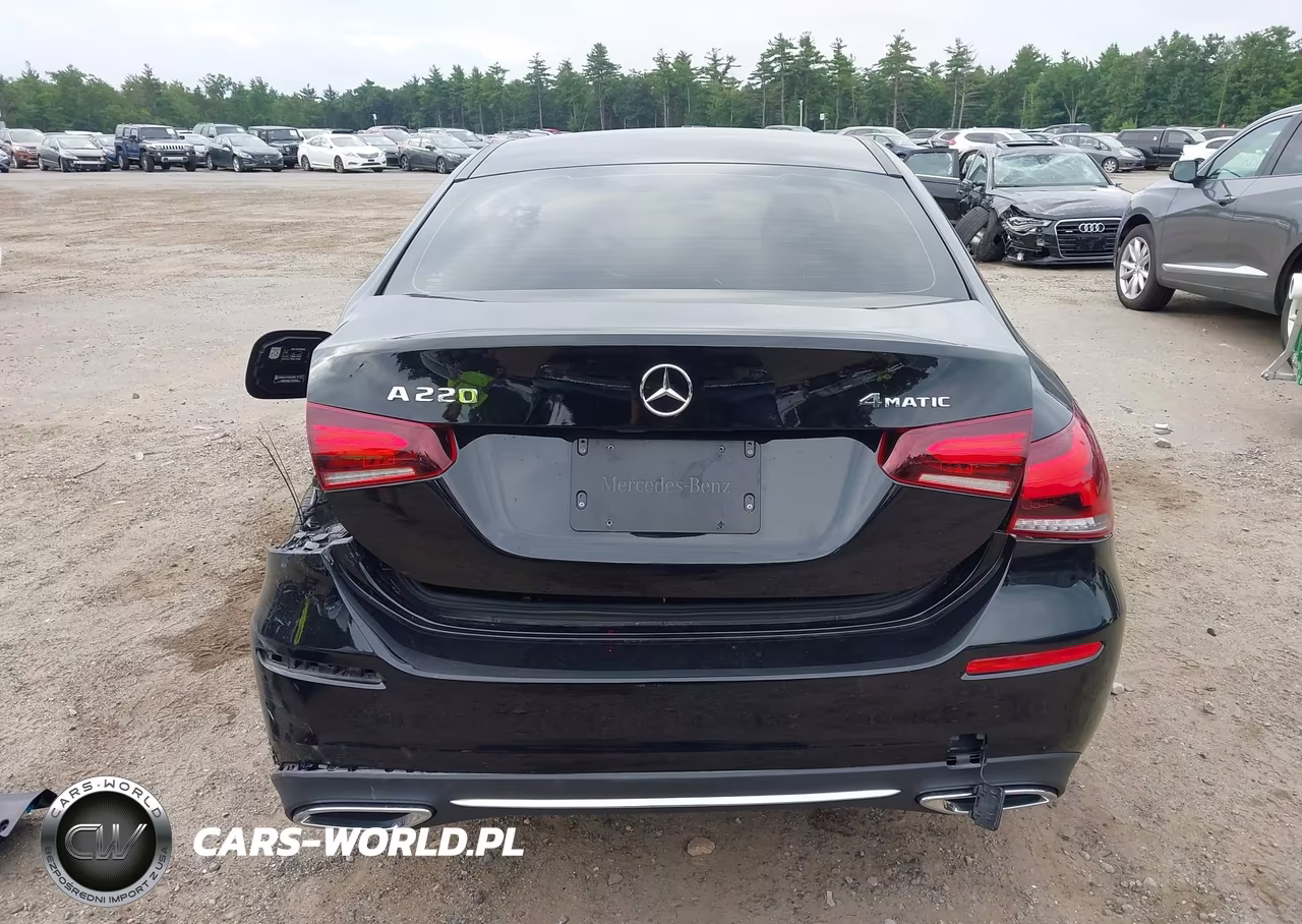 2020 Mercedes-Benz A 220 4Matic VIN:WDD3G4FB0LW037999 - 17
