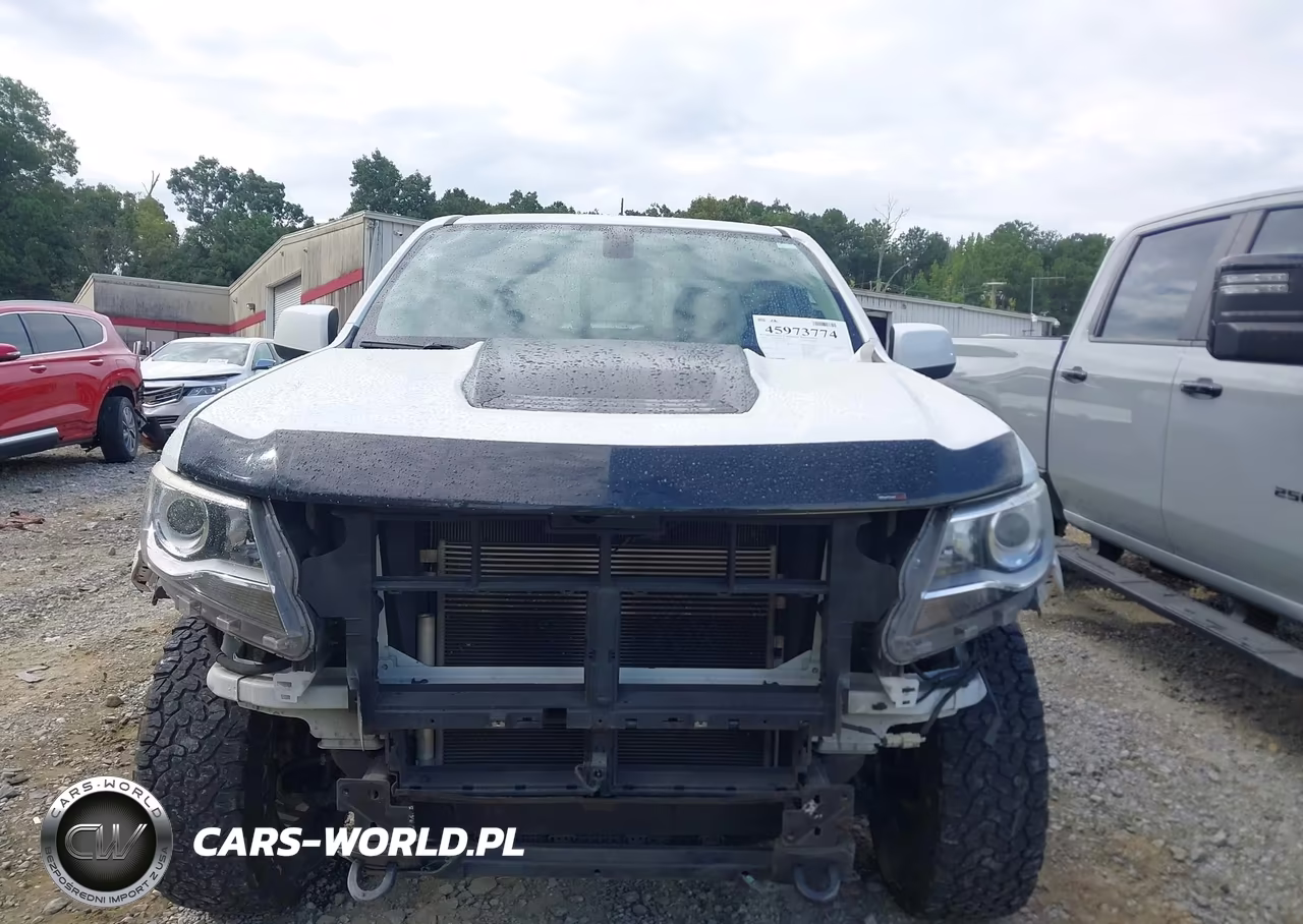 2019 Chevrolet Colorado Zr2 VIN:1GCGTEEN2K1119902 - 12