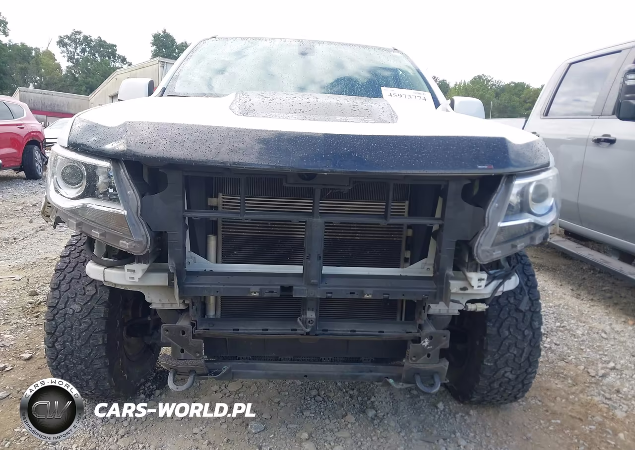 2019 Chevrolet Colorado Zr2 VIN:1GCGTEEN2K1119902 - 6
