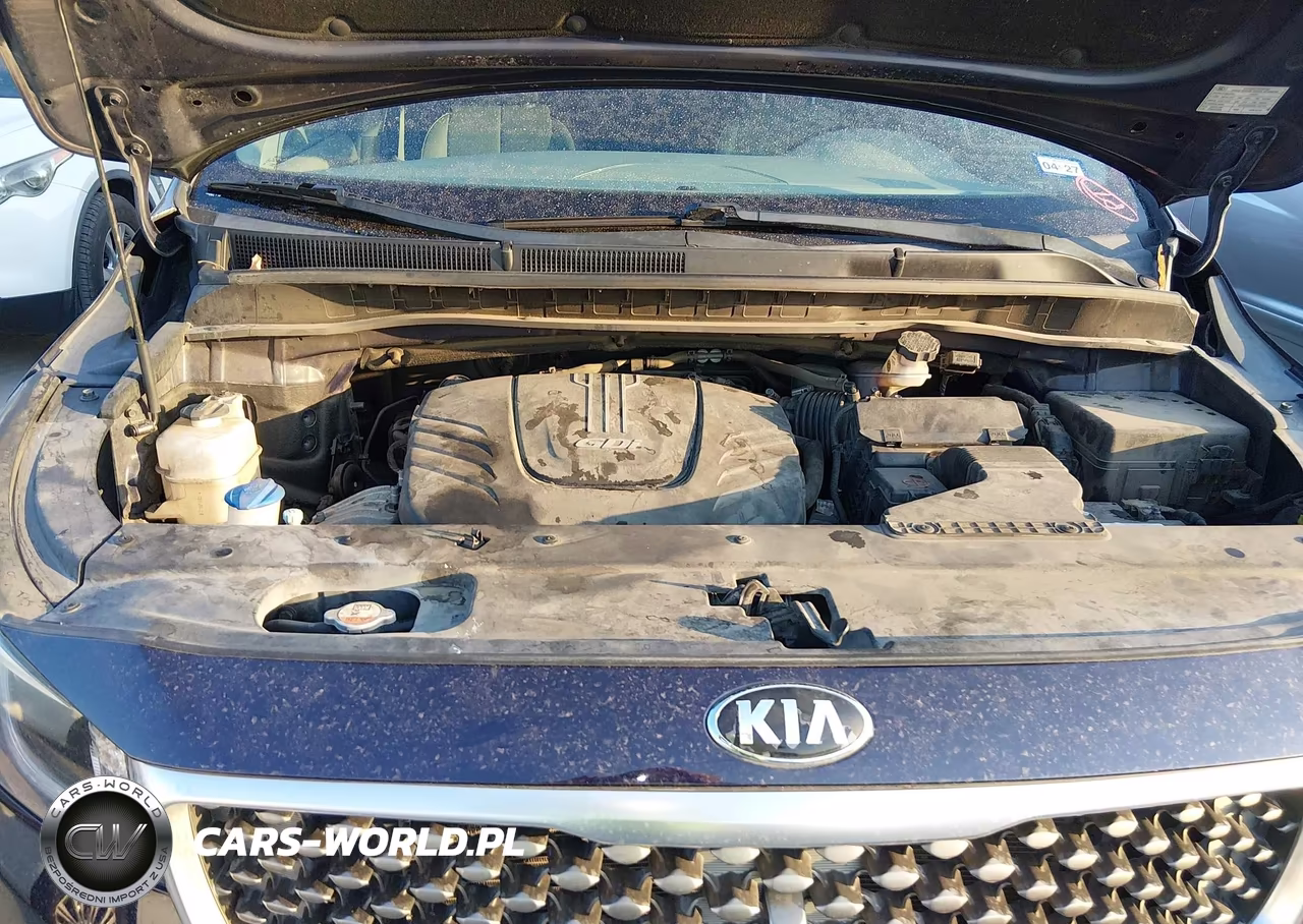2018 Kia Sedona Sx Limited VIN:KNDME5C14J6376431 - 10