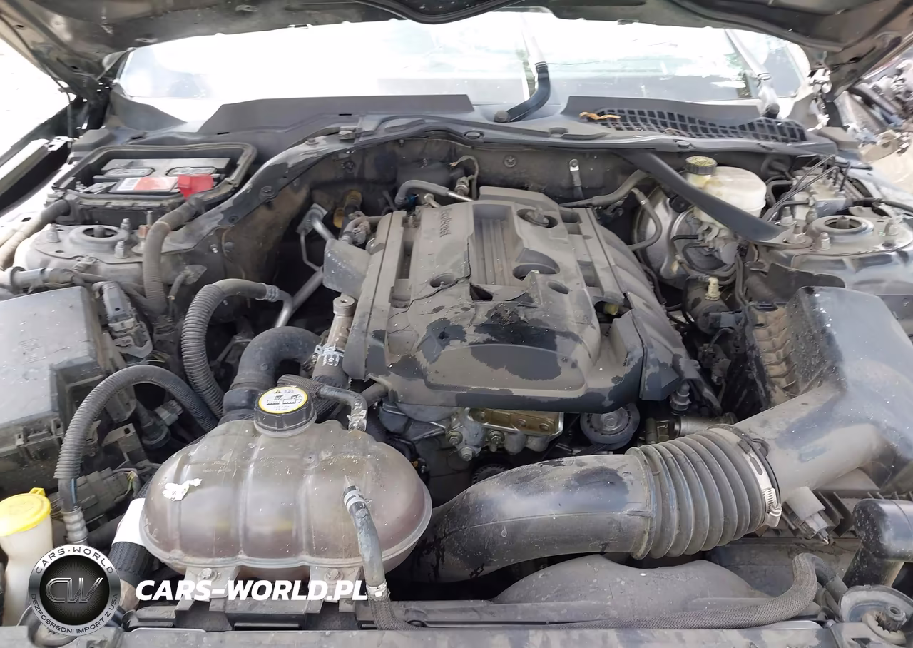 2019 Ford Mustang Ecoboost Premium VIN:1FATP8UH2K5109384 - 10