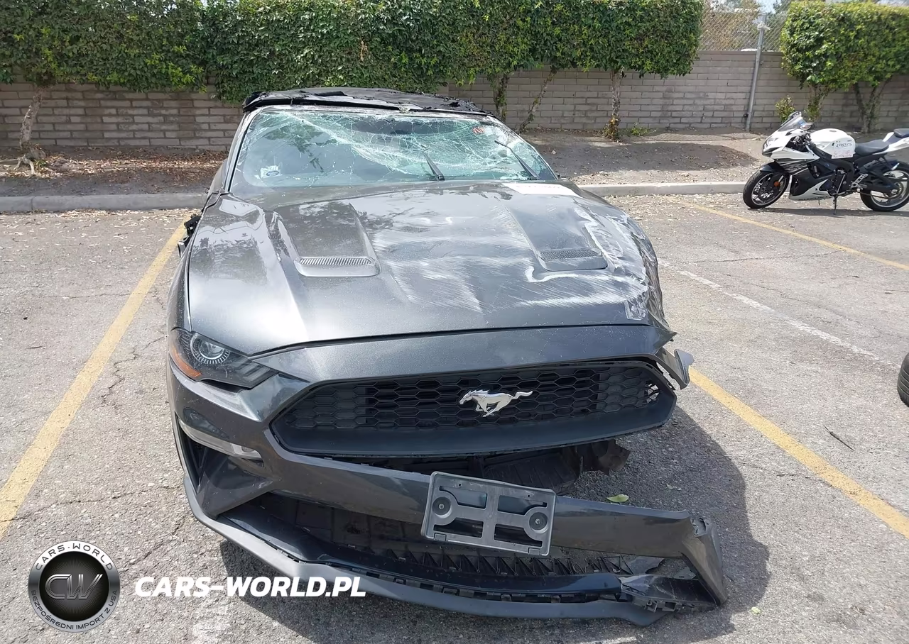 2019 Ford Mustang Ecoboost Premium VIN:1FATP8UH2K5109384 - 12