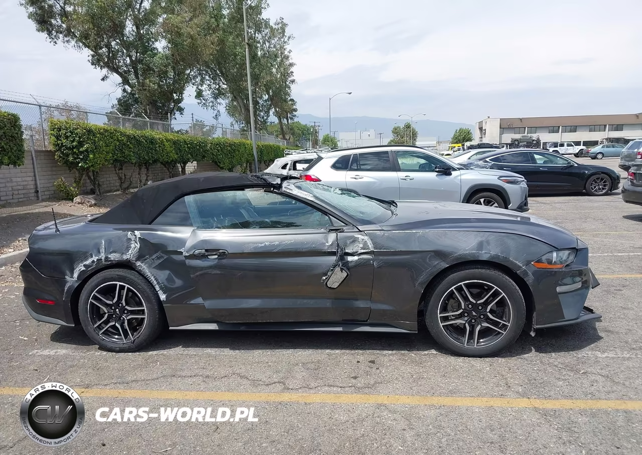 2019 Ford Mustang Ecoboost Premium VIN:1FATP8UH2K5109384 - 13