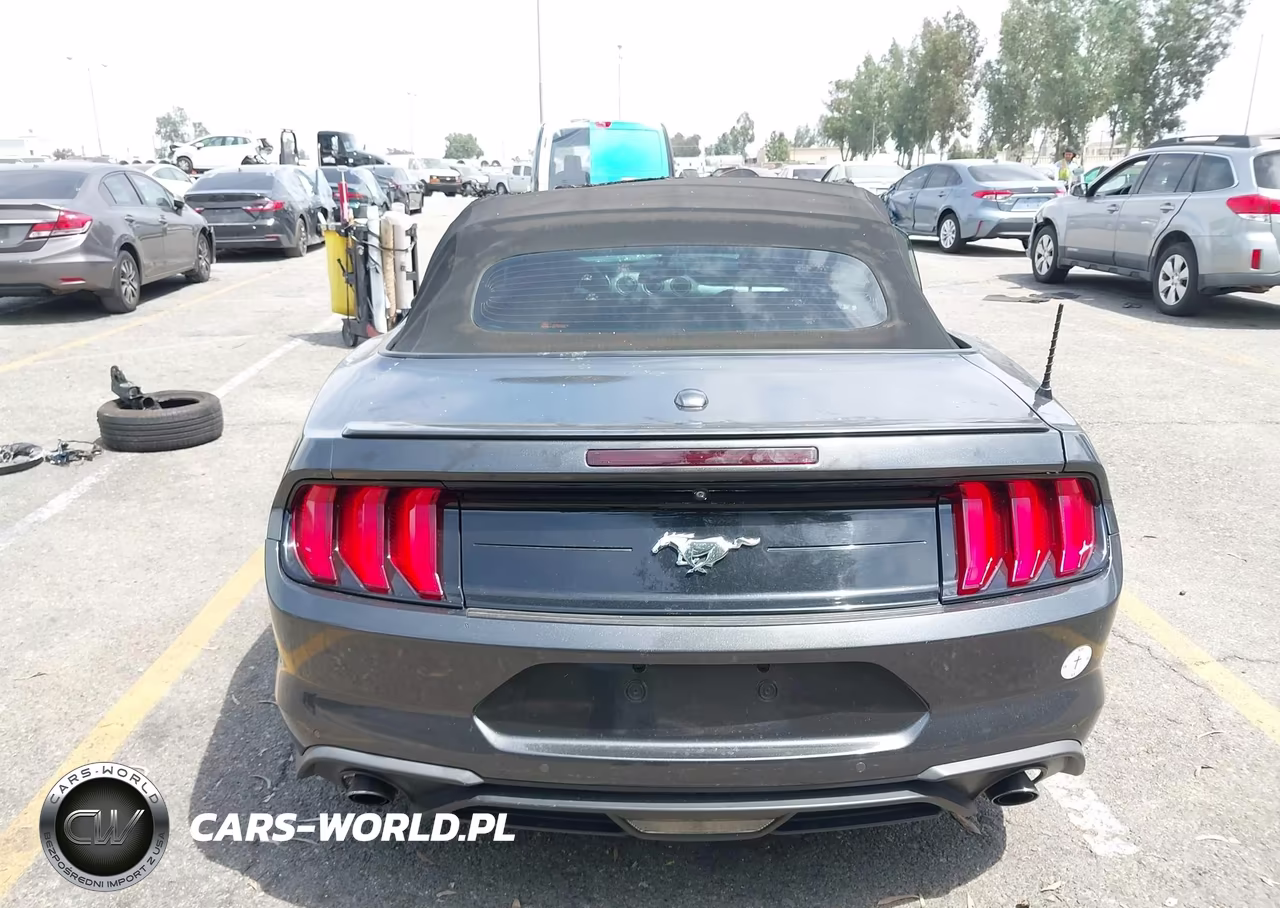 2019 Ford Mustang Ecoboost Premium VIN:1FATP8UH2K5109384 - 16