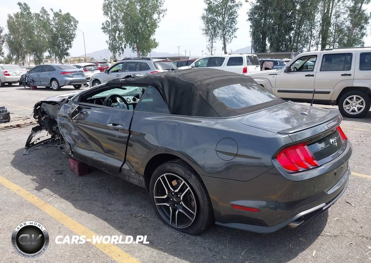 2019 Ford Mustang Ecoboost Premium VIN:1FATP8UH2K5109384 - 3