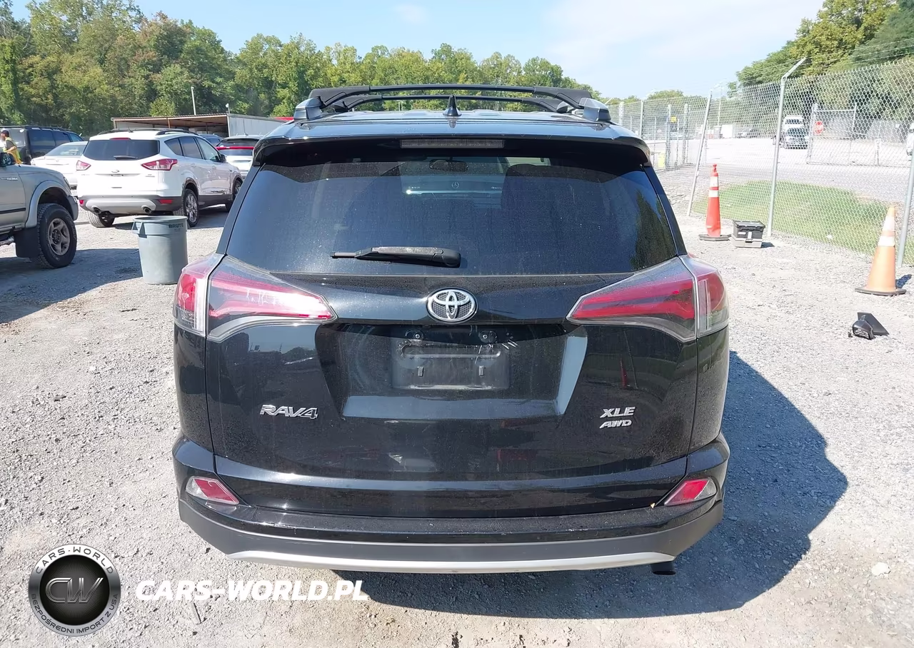 2016 Toyota Rav4 Xle VIN:2T3RFREV4GW475025 - 16