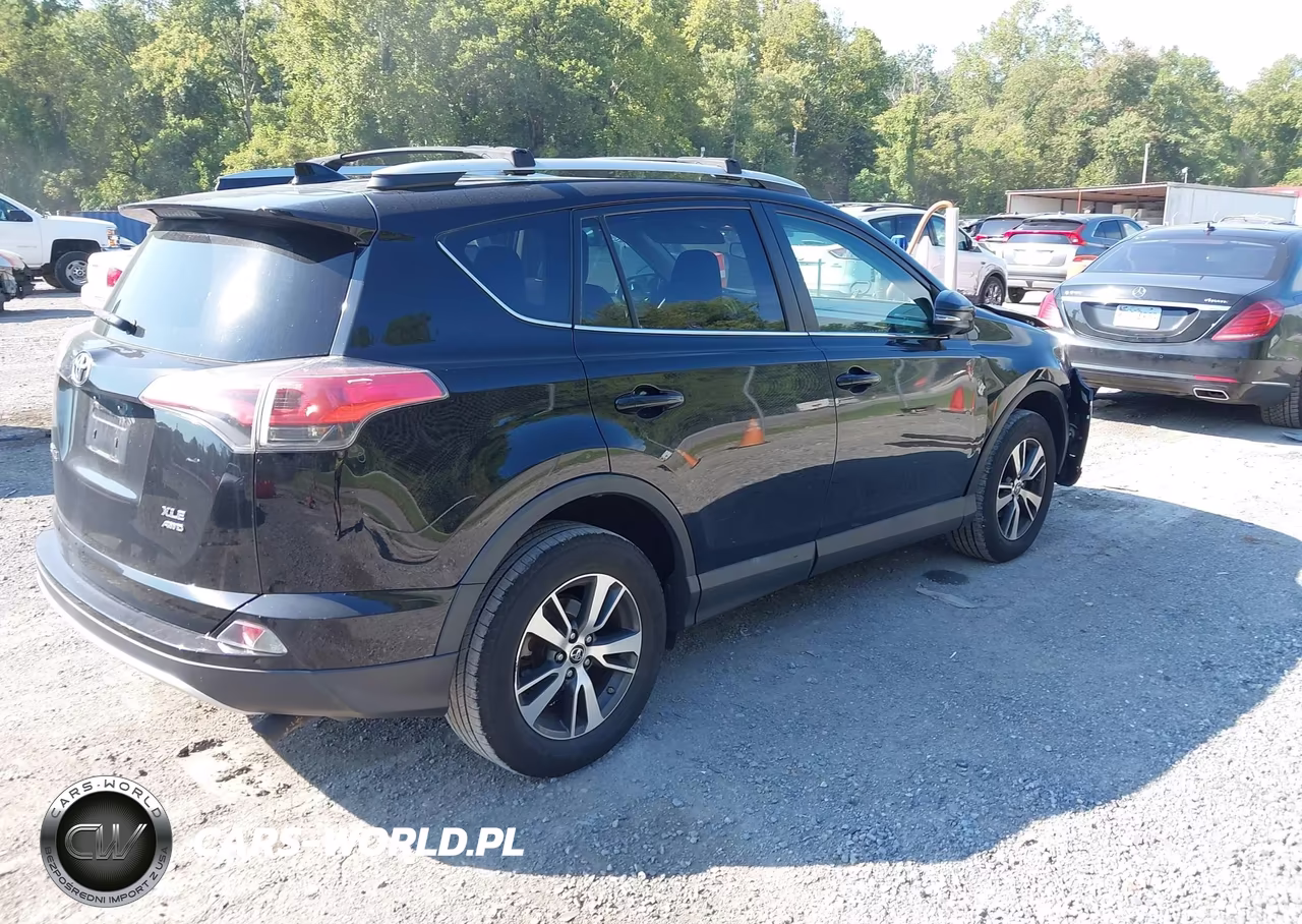2016 Toyota Rav4 Xle VIN:2T3RFREV4GW475025 - 4