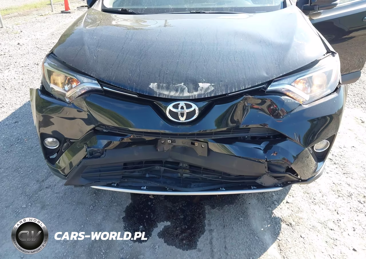 2016 Toyota Rav4 Xle VIN:2T3RFREV4GW475025 - 6